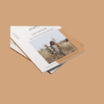 Perfect Bound Booklets