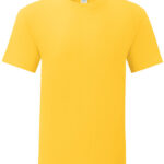 61430 Fruit Of The Loom Men's Iconic 150 T